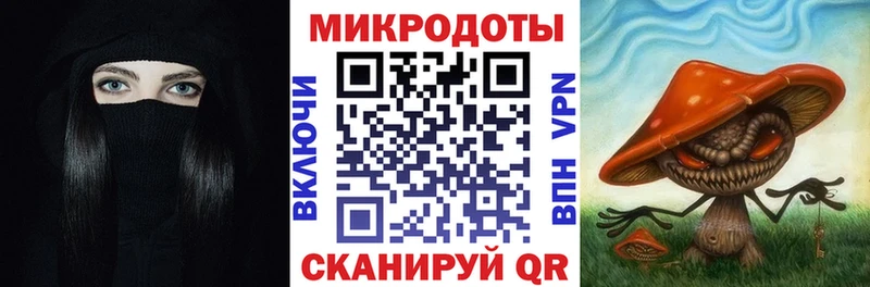 Купить  Судак  Псилоцибиновые грибы прущие грибы 